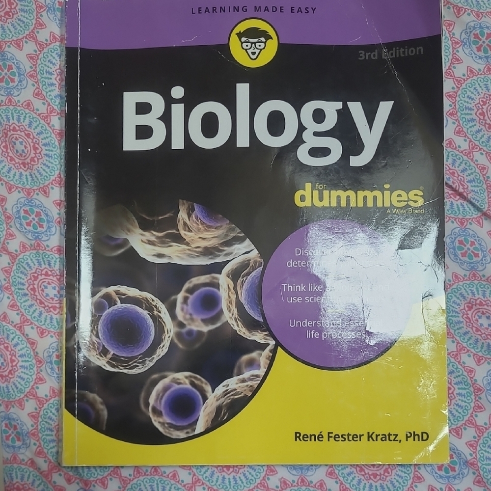 Vibrant Purple and Yellow Educational Guide